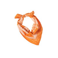 The Neighborhood Collection Bandana