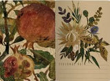 Figs Notebook