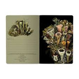 Forest Floor Notebook