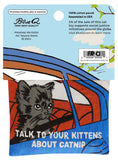 Talk To Your Kittens Catnip Toy
