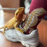 Bearded Dragon Men’s Crew
