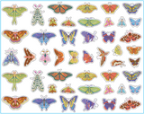 Butterflies & Moths Sticker Set