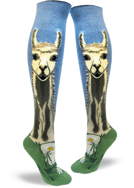 Lovely Llama Knee High Sock