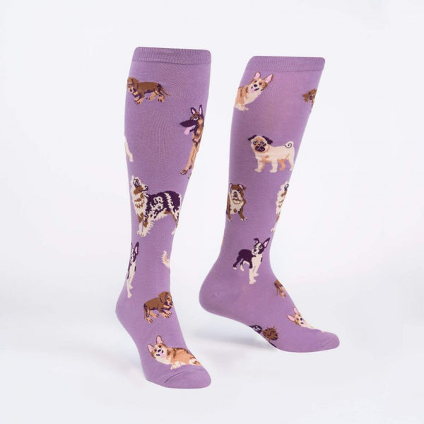 Stay Pawsitive Knee High Socks